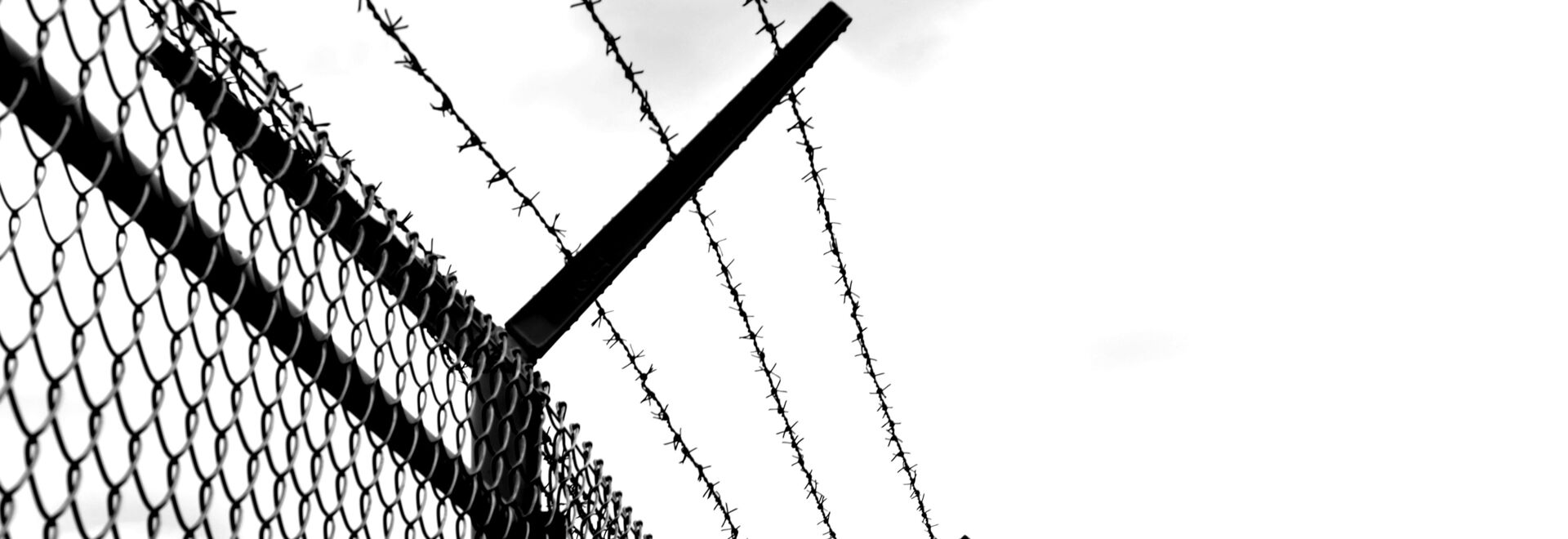 barbed wire